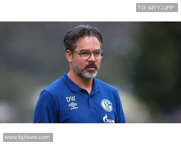 沙尔克04主场失利,主帅压力山大,面临重大考验 沙尔克04主场失利,主帅压力山大,面临重大考验