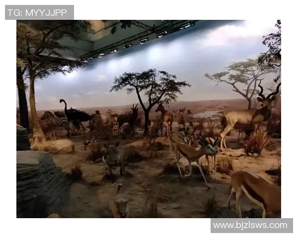 王卫星：探索宇宙的先锋与科技创新的引领者