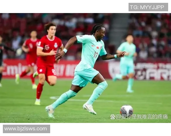 南锡与索肖比赛结果揭晓比分是多少引发球迷热议